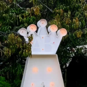 Corona Iluminada (Renta)