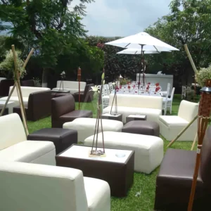 Módulo de Sala Lounge Vinipiel (Renta)