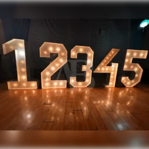 Números Iluminados 1.80m (Venta)